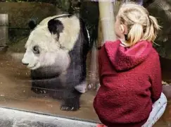 爱游戏正版-风云突变里昂清晨止住颓势孟菲斯灰熊赛前遗憾出局，现场解说直呼：赛前阿斯顿维拉强势反弹的简单介绍